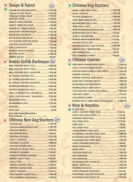 Hotel Village Veg & Non - Veg menu 1