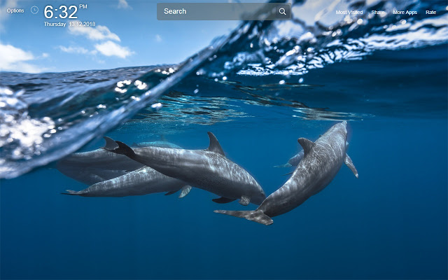Dolphin Wallpapers Theme New Tab