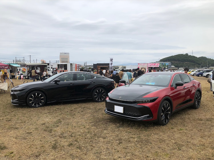 ヴェゼルの新幹線とコラボ・まいばらノリ乗りFES・警察官とコラボ・あのベンチ・ドアバイザー有り派に関するカスタム事例の投稿画像3枚目