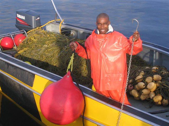 The KZN Sharks Board announced on Thursday that it will be replacing some shark nets with drum lines