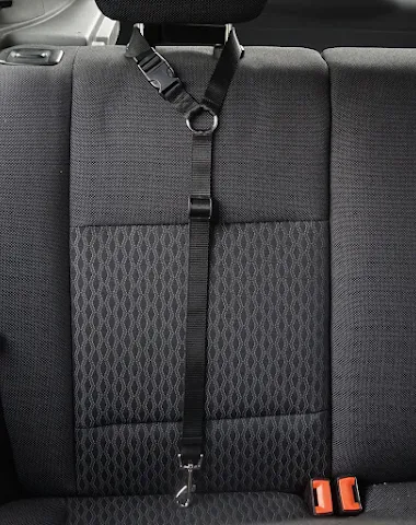 Smycz bezpieczeństwa dla zwierząt Z - 2