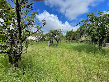 terrain à Vineuil (41)