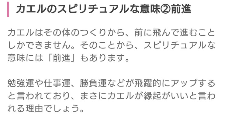 の投稿画像9枚目