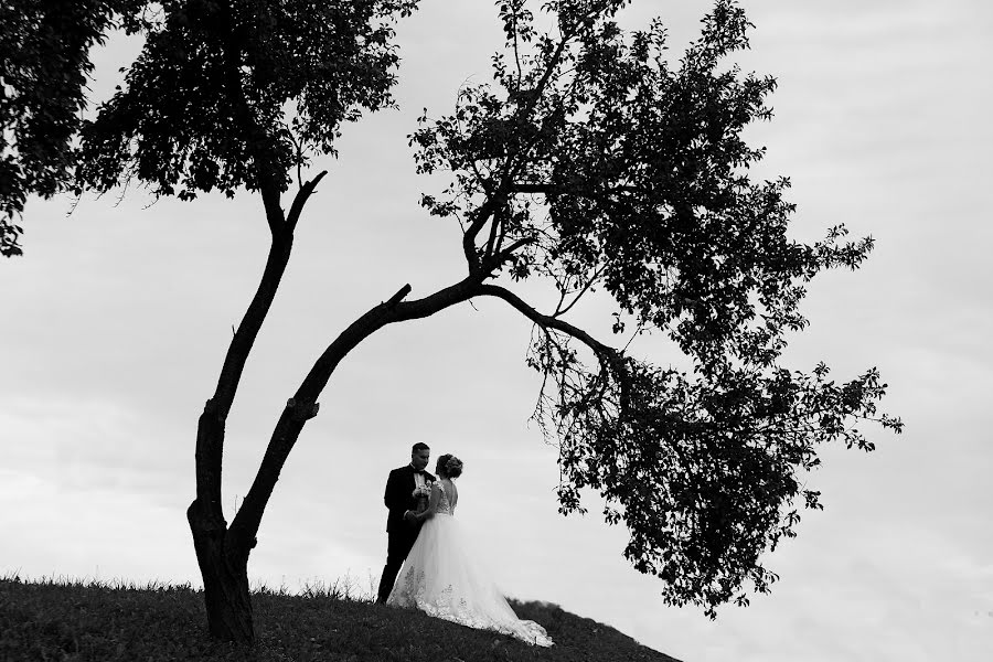 Fotografo di matrimoni Aleksandr Berezhnoy (alexberezhnoj). Foto del 1 novembre 2018