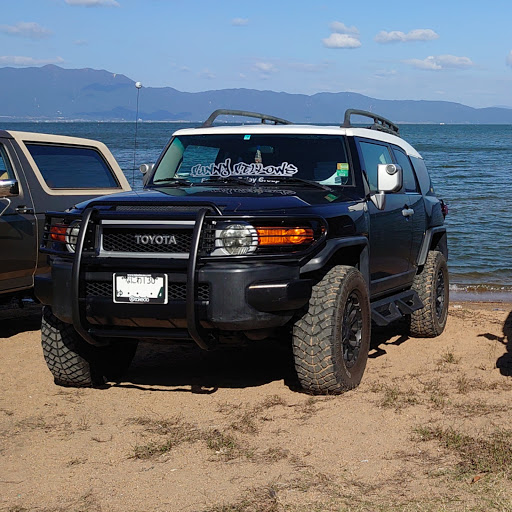 tmzのプロフィール画像