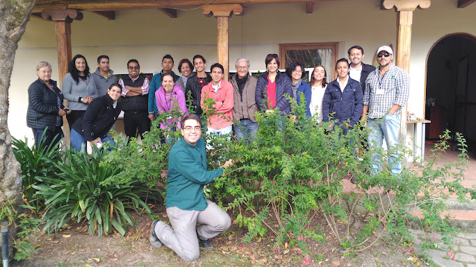 curso de jardines verticales en Argentina