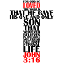 Icon Bible Salvation Jn316