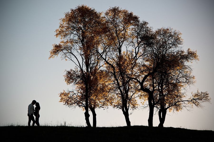 Vestuvių fotografas Feri Bologa (bologa). Nuotrauka 2015 liepos 17