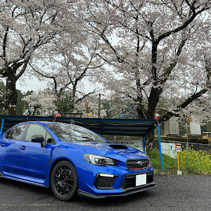 WRX STI