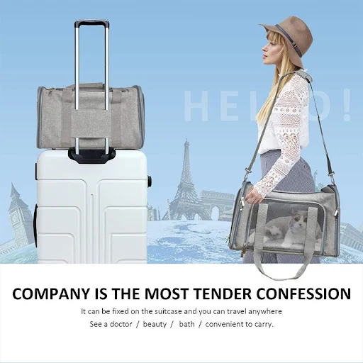 Ventilation Large Capacity Cat Carrier Bag Adjustable Strap Pet Carrying Handbag Collapsible Shoulder Bag for Cat Outdoo