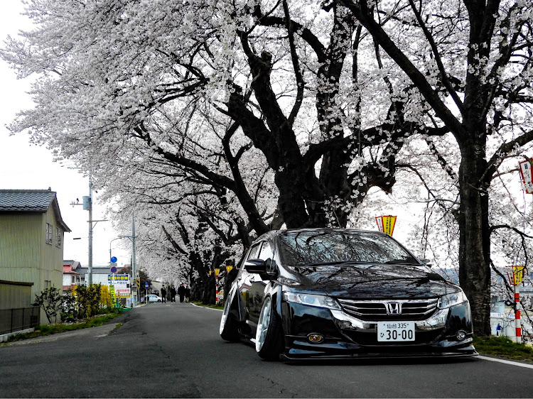 オデッセイのオデッセイ・車高調・桜・326power・workに関するカスタム事例の投稿画像1枚目