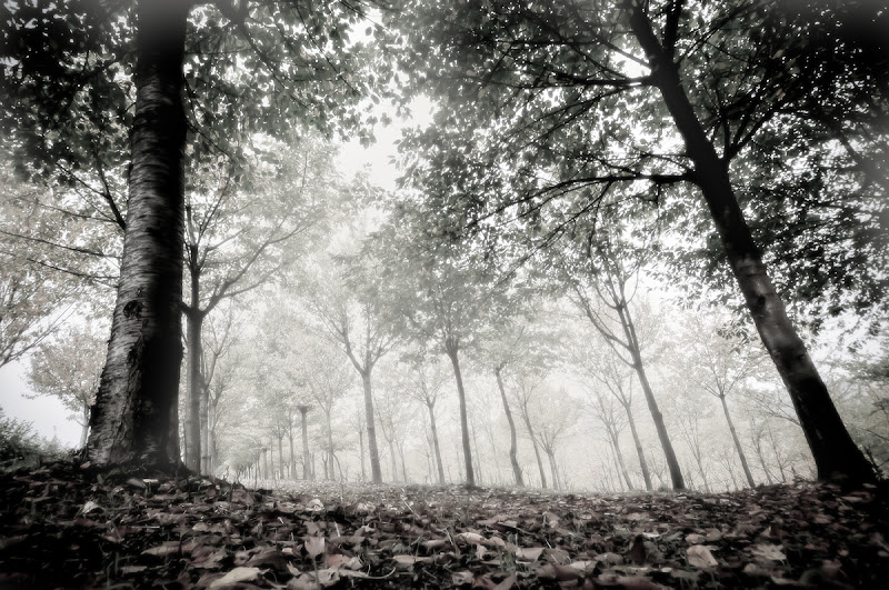 Autunno alle porte di Pier Gatti photography