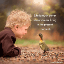 The Present is Life icon