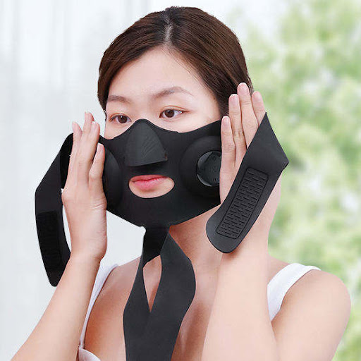 Title 1, Tierra Micro Current EMS Facial Care Instrument...