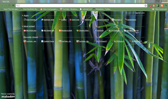 Bamboo Forest chrome extension