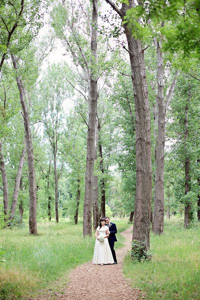 Fotografo di matrimoni Elena Krasnopolskaya (krasnopolskaya). Foto del 12 luglio 2013