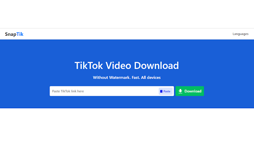 TikTok Video Downloader