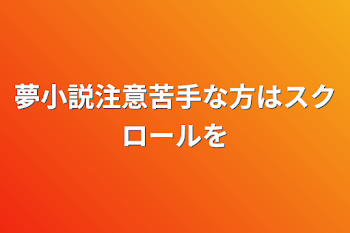 夢小説注意苦手な方はスクロールを