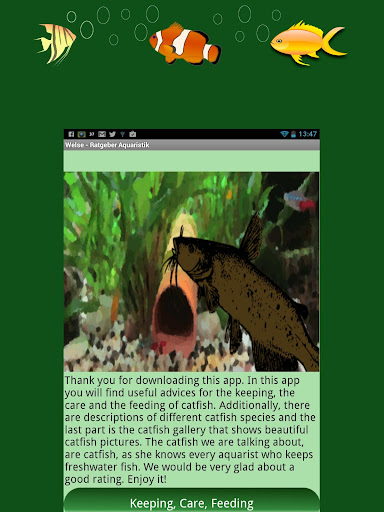 Catfish Guide Aquarium English