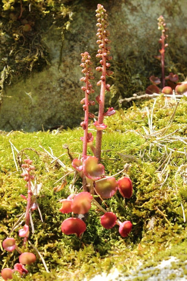 Désaignes, Le sentier des Vignes _-3JSJmuphMoYjDlbDK5LYwKIcGbFRD4275cuxWyZKQKeC10OdwoiTN1VlhkUpfAxRG2c_srHZwvqVA_izE1erfoebmd6R5uL7qg5riu-4o_qdgwM6I_08hIofEhJ2U1dZDz0QxQzVabCIlU-veVJBkTPX4KttELMDh9JcDKlRhNqAKiCHWLQt_iA0xwStZUVKOIIX8j0ZpNLEPHD_TOE3VH8wOg724qR2ixiCbI6nkuFB_SG3NFBjMuddFsNy5xeSfJPtrI2H6KvrRS-OtXKkmsiQG6i96d8t9a4tBTfOk4GNkk2yU3L0iXmBrmNTbJ8yLZzI3uy6GPjbrm8w__kmJNlahQd5l_FIpN33RIXeX3NVC7ETBEjNXByItXdi10BTJsfZwcFol3dhF5KY78NisWSh5xNYGERANAn6IbbK6zQIWeKjf8ehNugLT6jyXD1XZWULmUVWefe_D7Fn-thYCUBkzZkdSkWPKRW2dhL4oQEa5F6JgaJorPH1vy8-orF_vRxShKVokekRtBAxH0FvojvYkmrPBl3AVZhUWx74zdOu_ro6WkLmkyyZZ29B_zUmBKpA6glZKyOzGO6n2HuEdjSD77r0f9=w612-h917-no