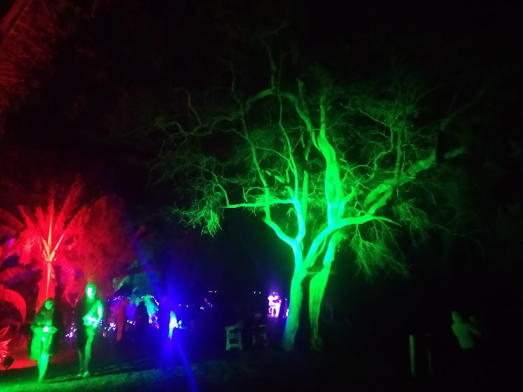 One of the underwhelming Enchanted Forest of Lights displays at the Walter Sisulu Botanical Gardens.