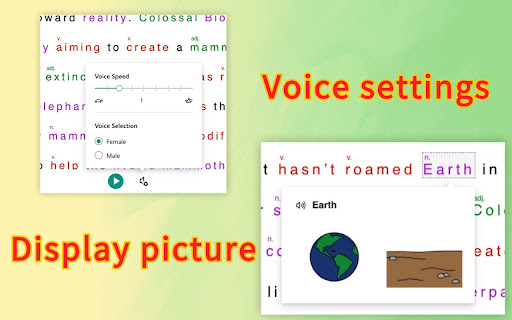 Immersive Reader - Improve Reading Accessibility Preview 2