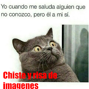 Chiste y risa de imagenes.apk 1.0