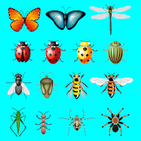 AtoZ Insects Name Prime