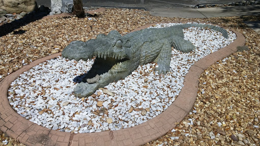 Gator Statue