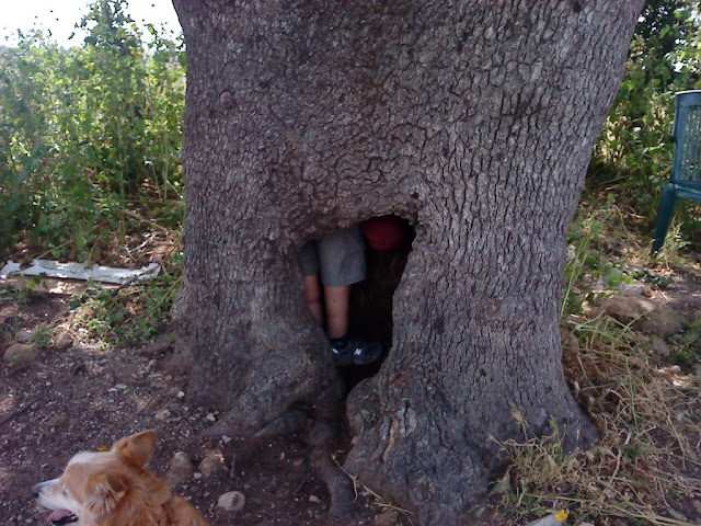 ''