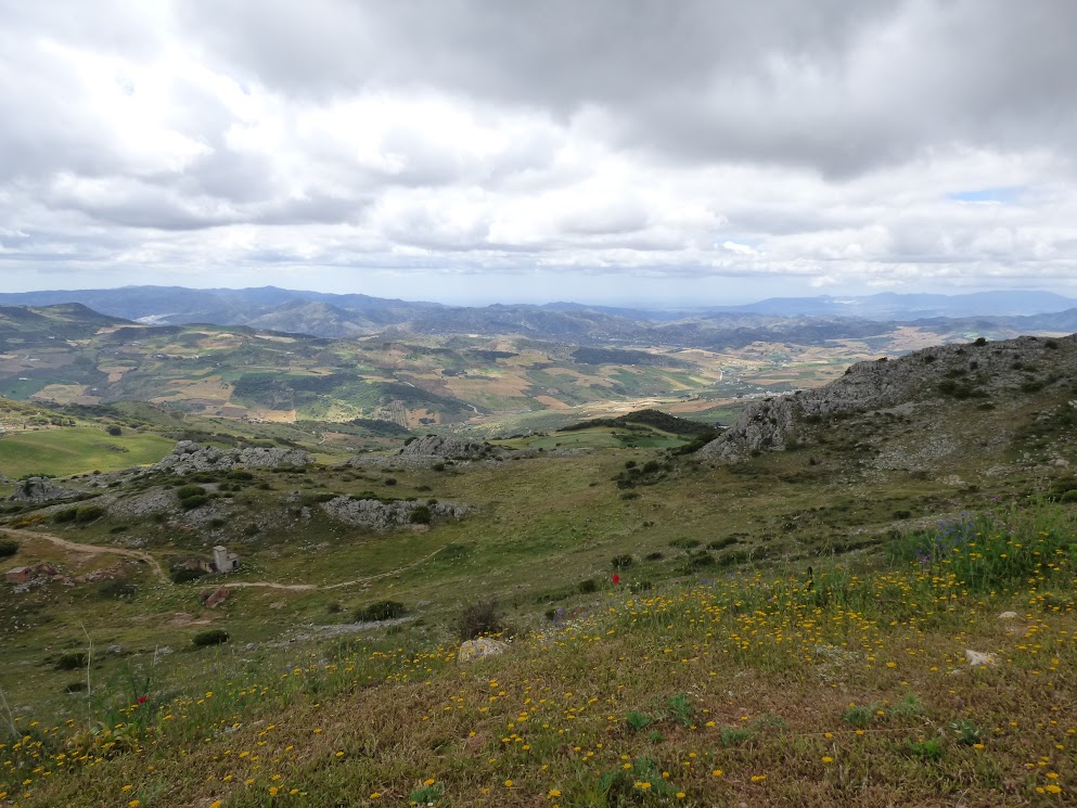 torqual de antequera