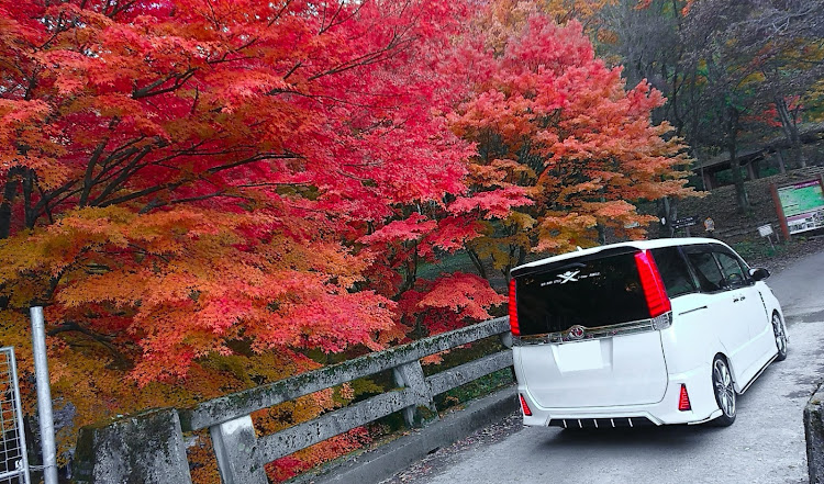 ヴォクシーの紅葉と愛車・紅葉コラボ・紅葉ドライブ・絶景スポットに関するカスタム事例の投稿画像6枚目