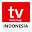 IndoTV - TV Streaming Live Download on Windows