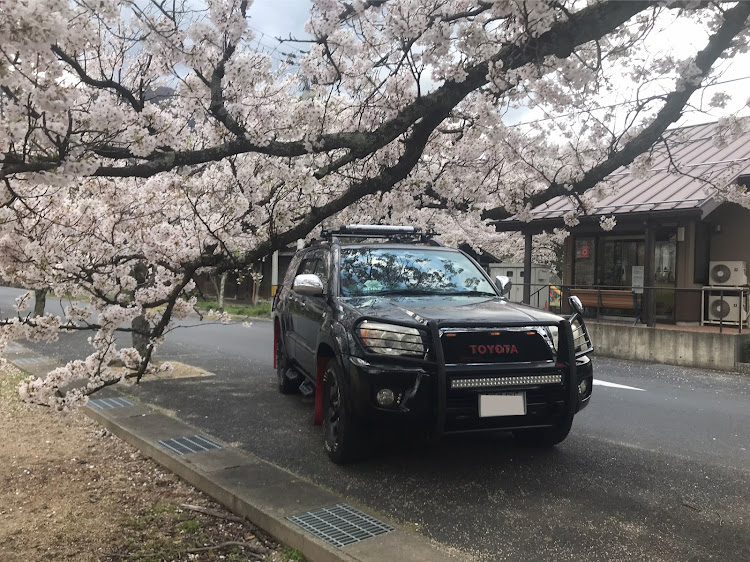 の投稿画像2枚目