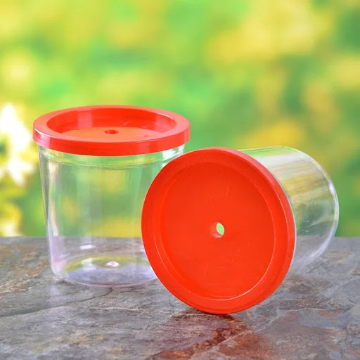 Mini Aquarium for Tank Fish Cups Bowls for Small Fish and Tortoise Clear Aquariums for Kids Perfect Birthday Gift Ideas