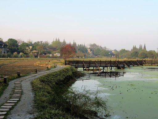 A Day in Wuzhen China 2016