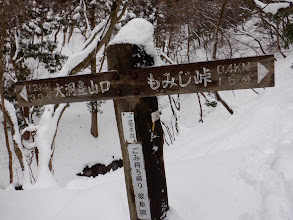 大洞登山口分岐（もみじ峠へ）