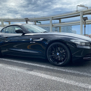 Z4 E89
