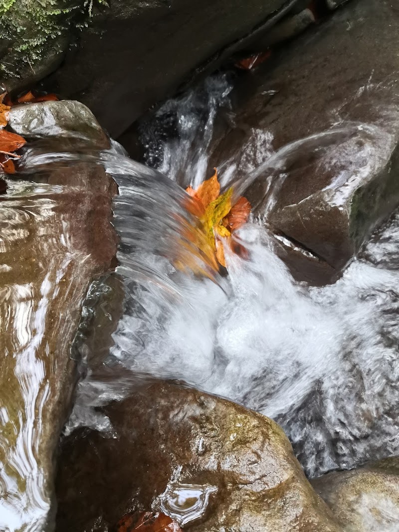 Intrappolata nell'acqua di Monica_Saba