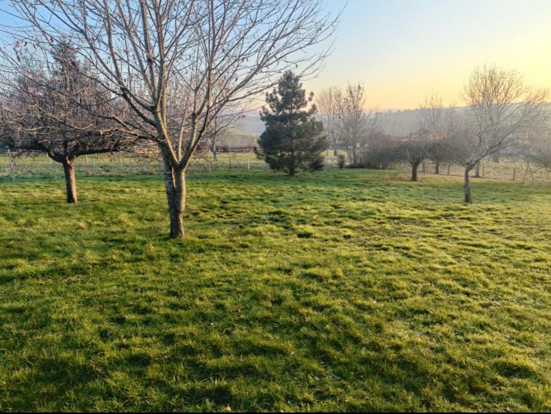 Vente terrain  1243 m² à Cublize (69550), 99 000 €