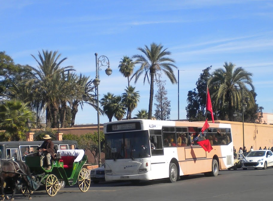 MARRUECOS... Essaouira y Marrakech... DSCN7155