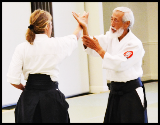 Learn Aikido fast. Aikido course at home