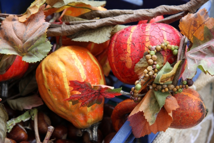 Colori e sapori d'autunno di silvanosinigaglia