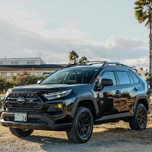 RAV4 AXAH54