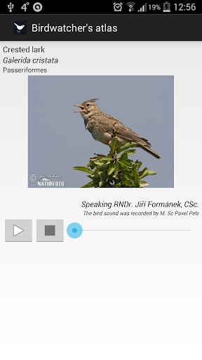 Birds of Europe Free