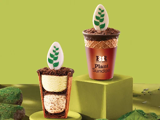 Plant Sundae