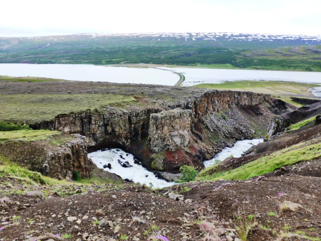 Fiordos del Este. Ribera del Lagarfljot.Camino a Höfn - SORPRENDENTE ISLANDIA (27)