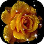 Cover Image of Herunterladen Rose Live Wallpaper 2.1 APK