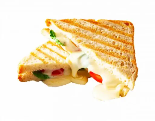 Cheese Grilled Sandwich