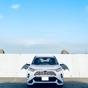RAV4 MXAA54